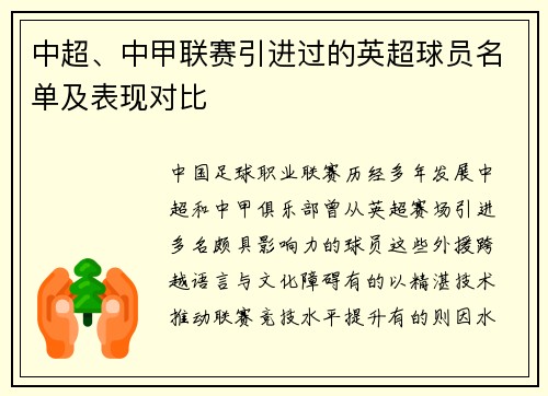中超、中甲联赛引进过的英超球员名单及表现对比